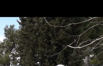 Sağlık örgütleri, birçok ilde gerçekleştirdikleri açıklamalarla pandeminin ikinci yılını değerlendirdi